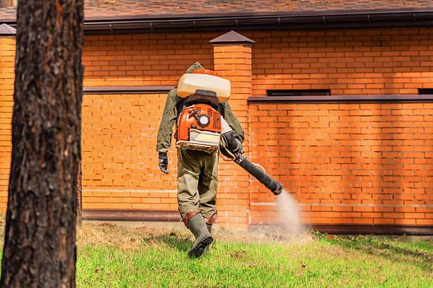 Bed Bug Clearance Verification and Documentation in Bellevue